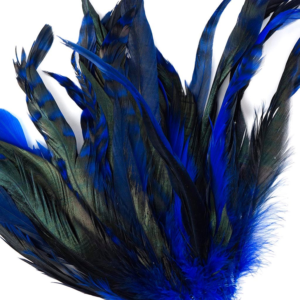 Rooster Coque Tails-Chinchilla Royal - Feathers