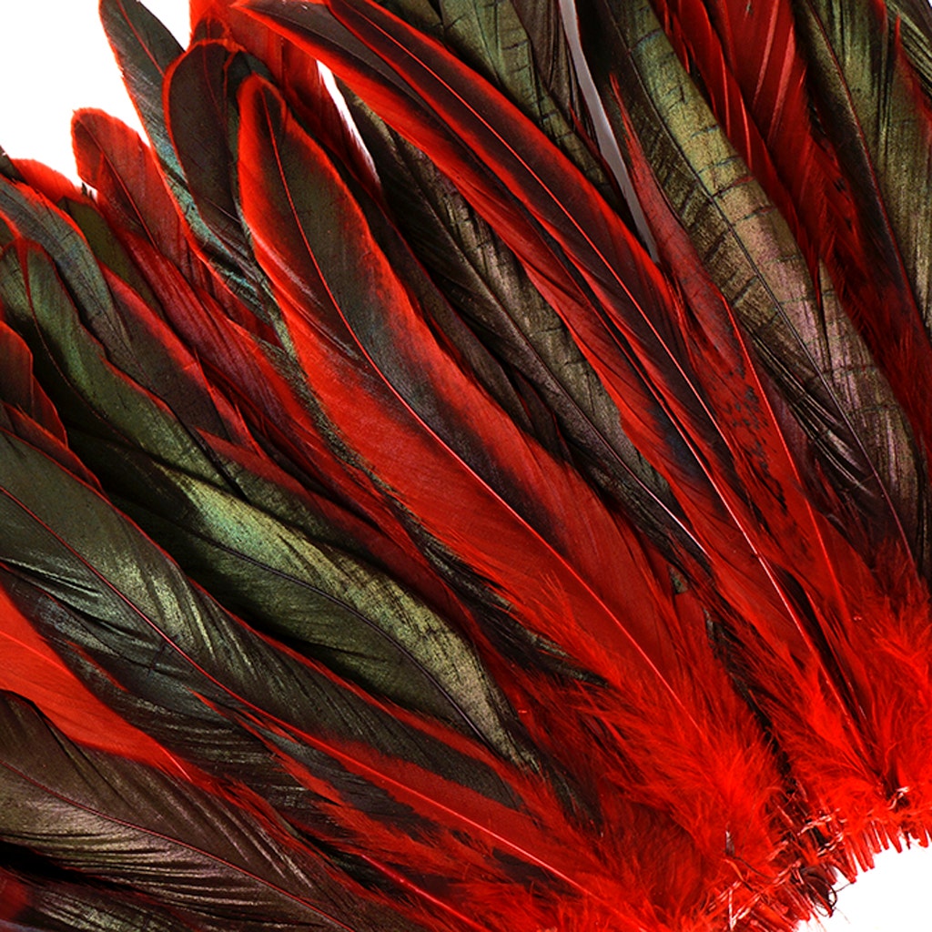 Rooster Coque Tails-Dyed 1YD - Red - Feathers