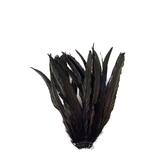 Rooster Coque Tails-Dyed - Black/Iridescent - Feathers