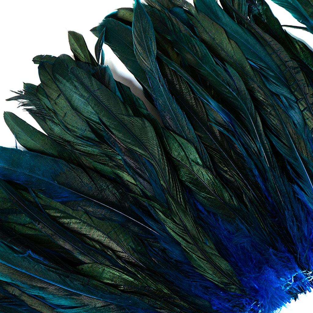 Rooster Coque Tails-Dyed - Dark Turquoise - Feathers