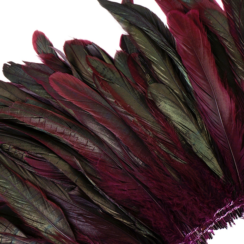 Rooster Coque Tails-Dyed - Purple - Feathers