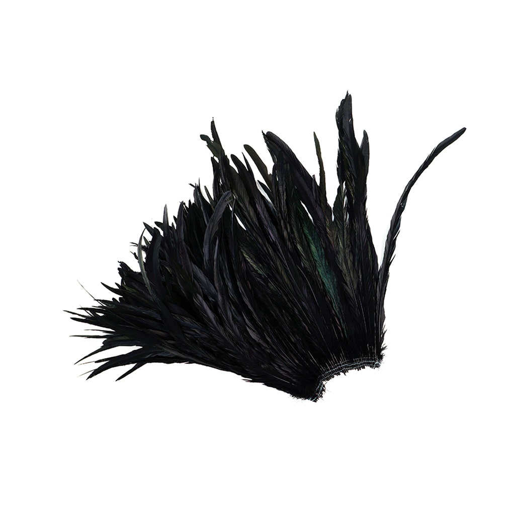 Rooster Coque Tails Feathers Black Iridescent 15-18’’ [1/4 LB Bulk] - Feathers