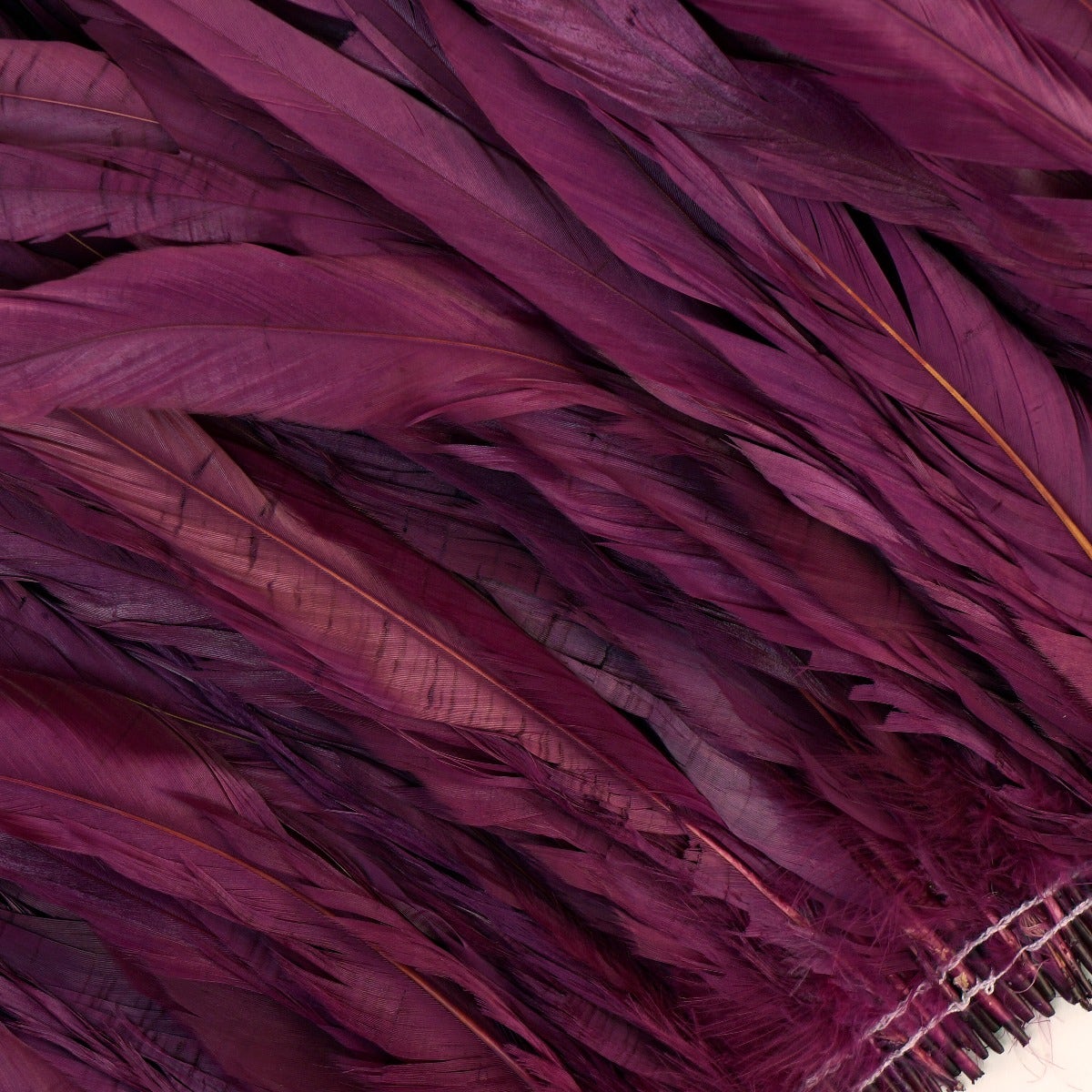 ROOSTER COQUE TAILS FEATHERS BLEACH DYED 7-10” - 1/2 Yard (18’’) Purple - Feathers