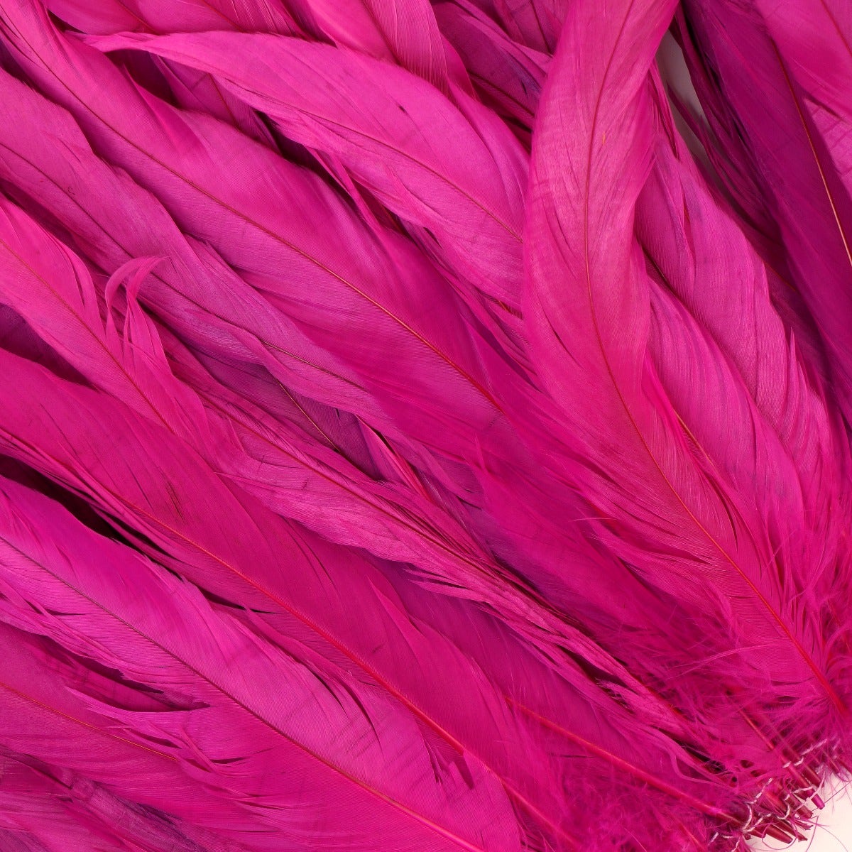 ROOSTER COQUE TAILS FEATHERS BLEACH DYED 7-10” - 1/2 Yard (18’’) Shocking Pink - Feathers