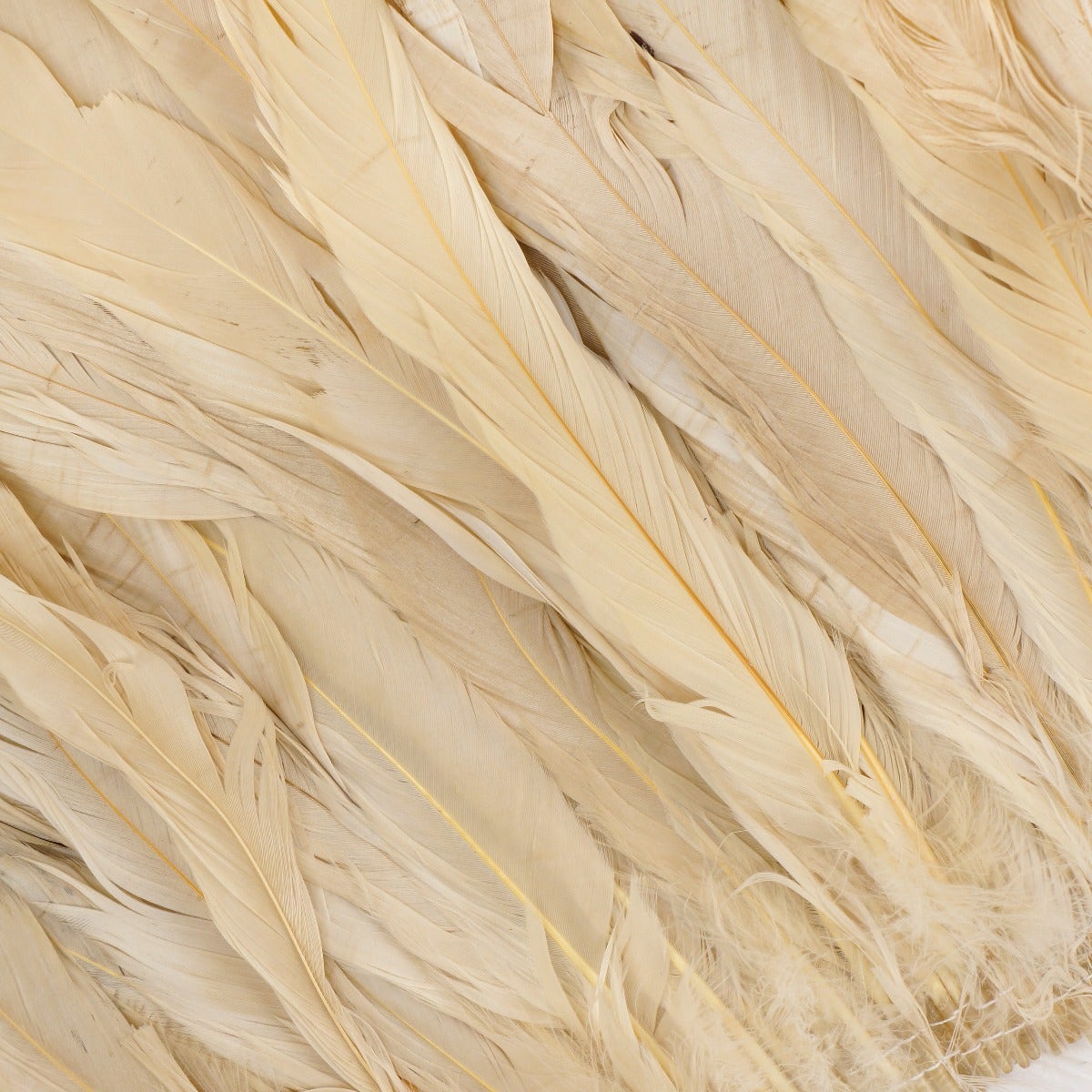 ROOSTER COQUE TAILS FEATHERS BLEACH DYED 7-10” - 1/2 Yard (18’’) - Beige - Feathers