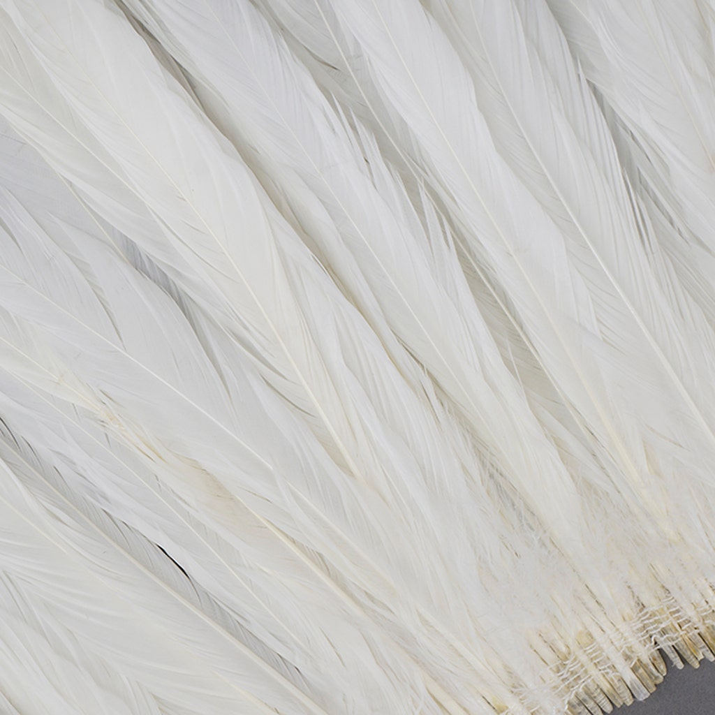 Rooster Coque Tails Feathers Bleached White 13-16’’ [1/4 LB Bulk] - Feathers