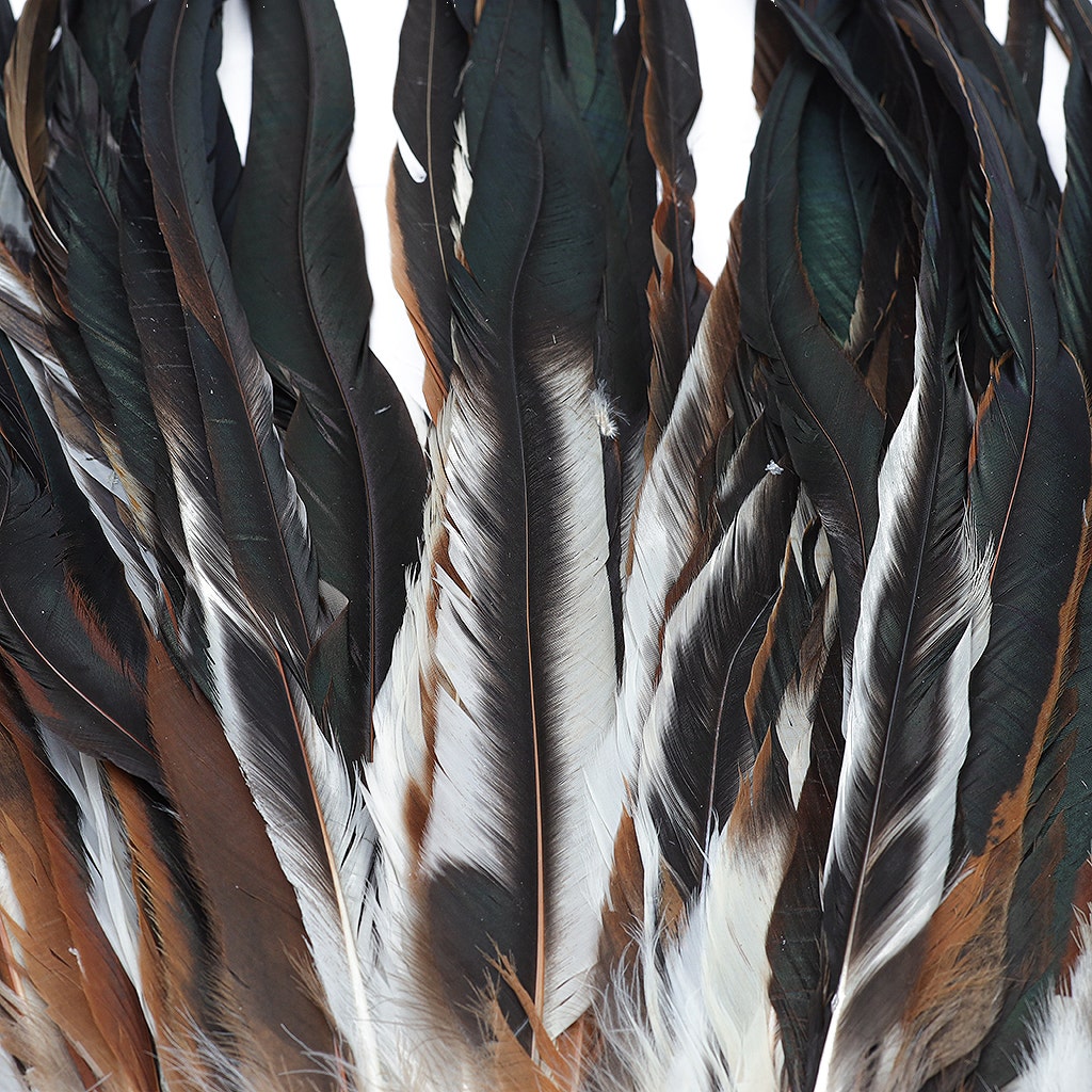 Rooster Coque Tails Feathers Half Bronze Natural 15-18’’ [1/4 LB Bulk] - Feathers