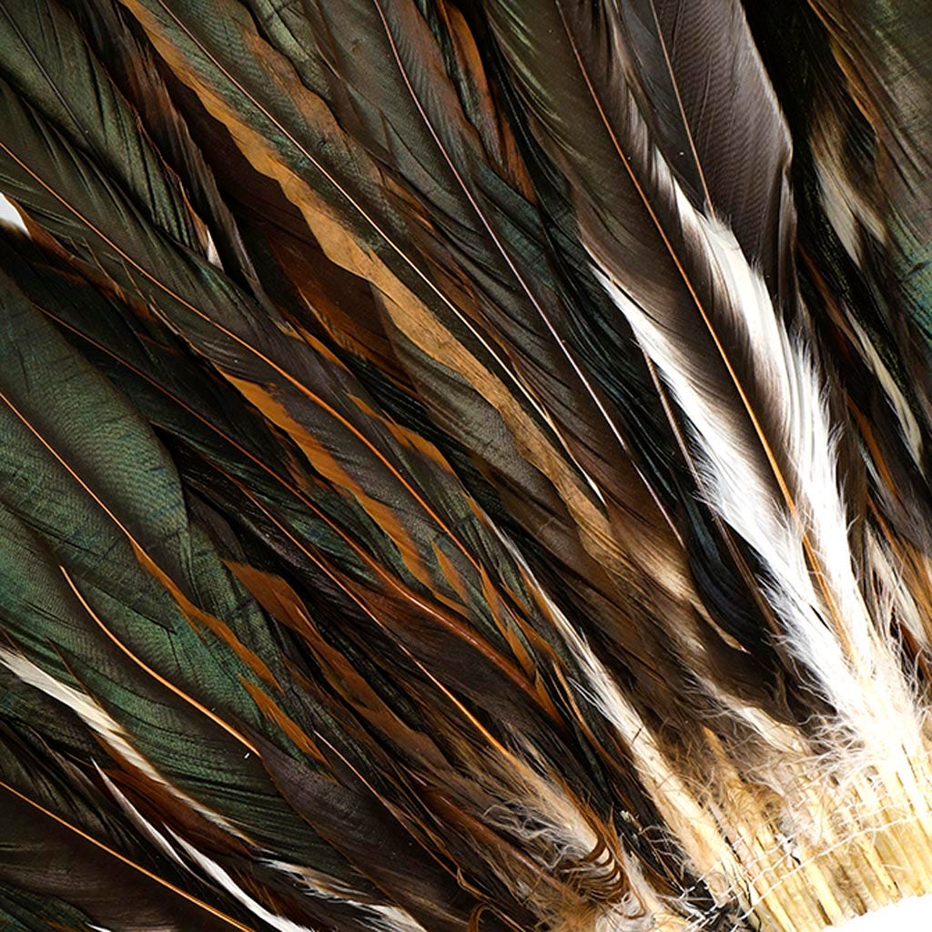 Rooster Coque Tails-Half Bronze - Natural - Feathers