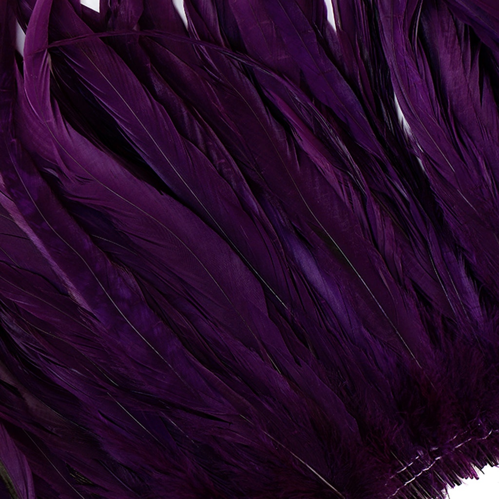 Rooster Coque Tails White-Dyed - Purple - Feathers