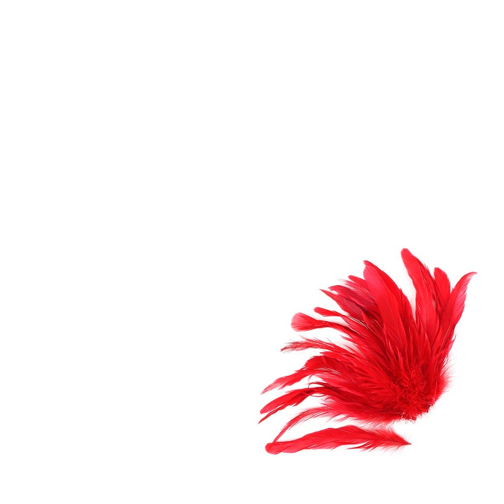 Rooster Coque Tails White-Dyed - Red - Feathers