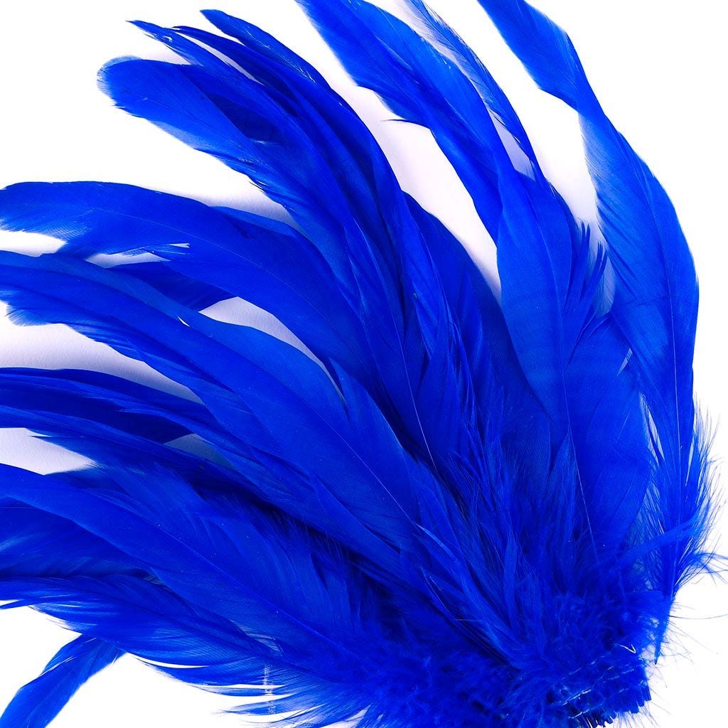 Rooster Coque Tails White-Dyed - Royal - Feathers