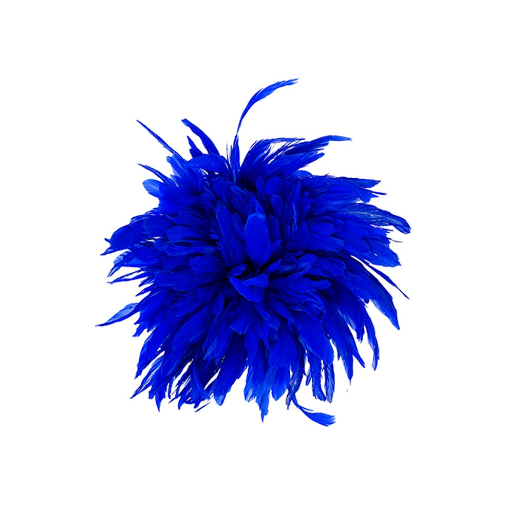 Rooster Coque Tails White-Dyed - Royal - Feathers