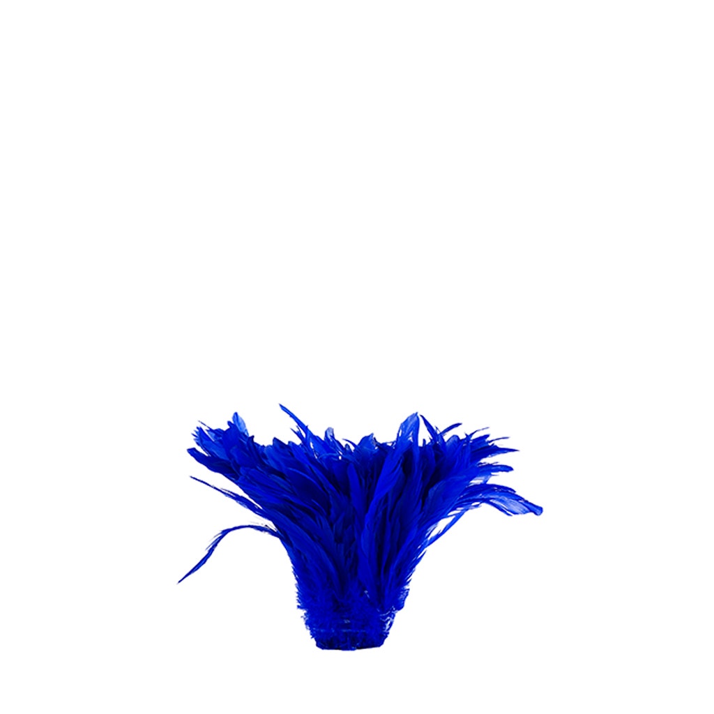 Rooster Coque Tails White-Dyed - Royal - Feathers