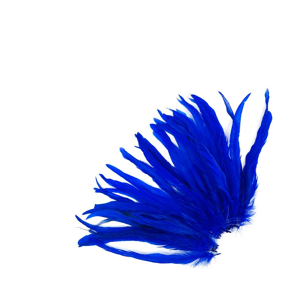 Rooster Coque Tails White-Dyed - Royal - Feathers