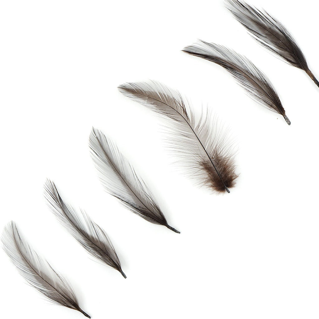 Rooster Hackle-Dyed - Brown - Feathers