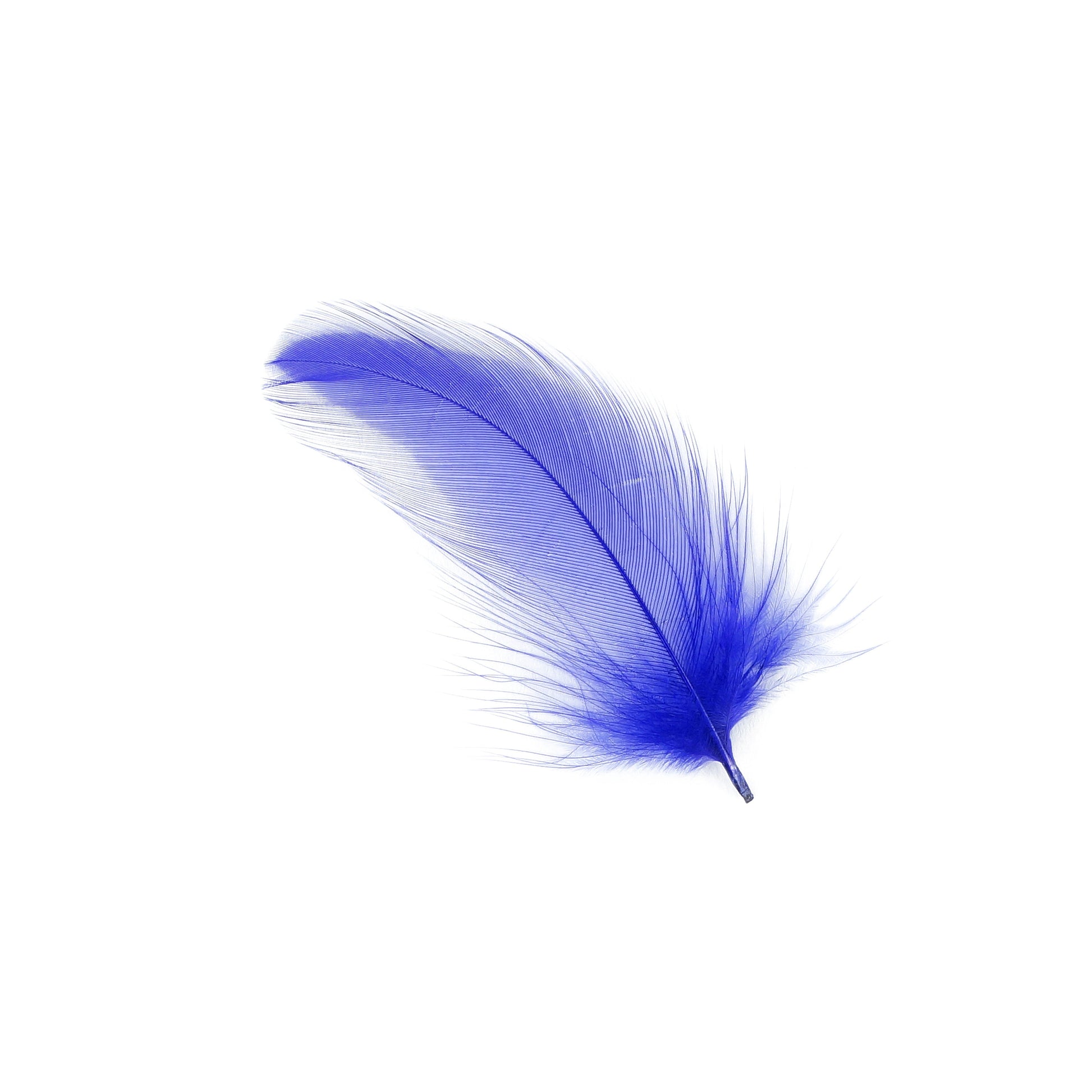 Rooster Hackle-Dyed - Dark Lilac - Feathers