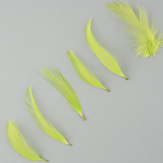 Rooster Hackle-Dyed - Lime - Feathers