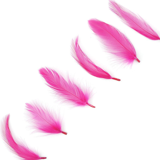 Rooster Hackle-Dyed - Shocking Pink - Feathers