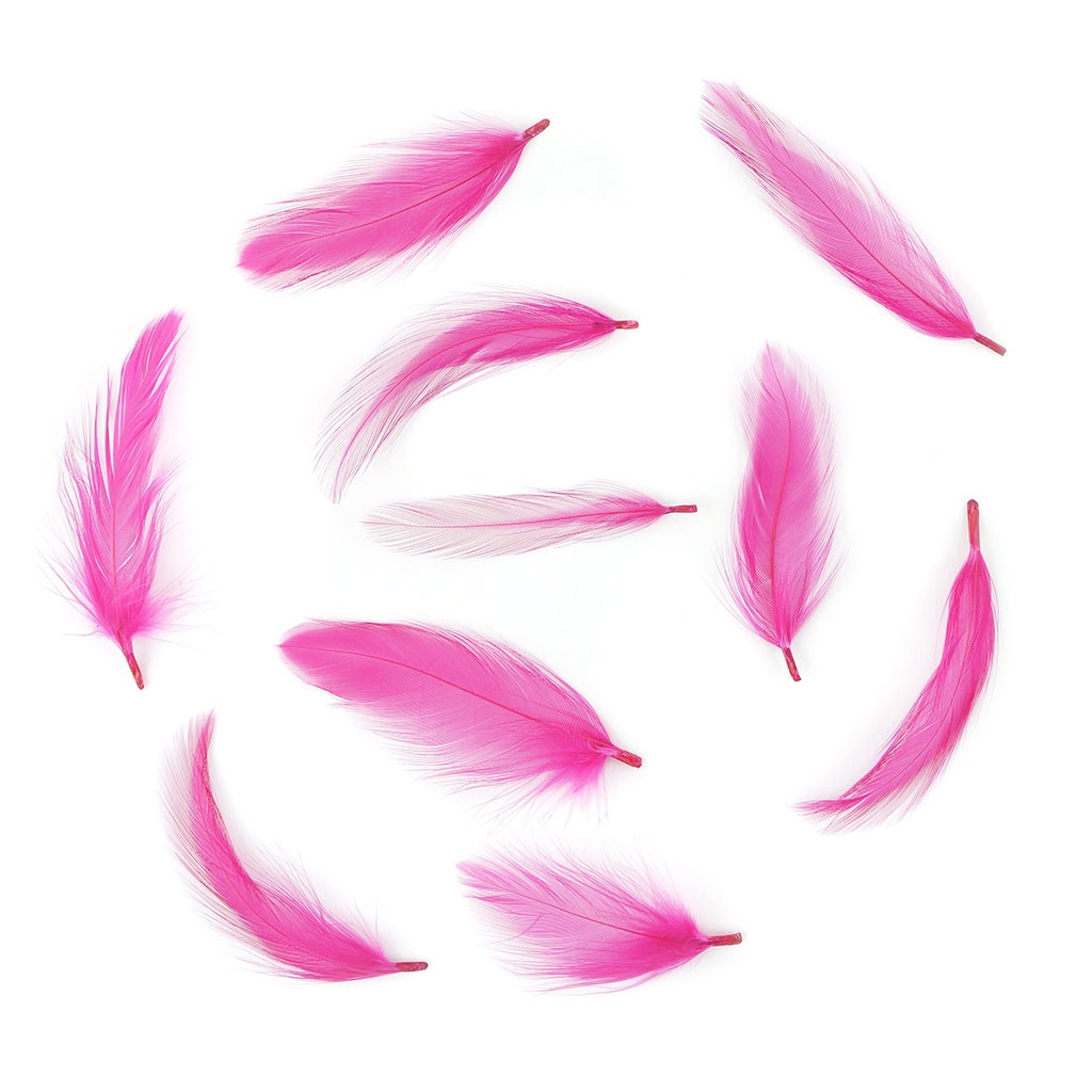 Rooster Hackle-Dyed - Shocking Pink - Feathers