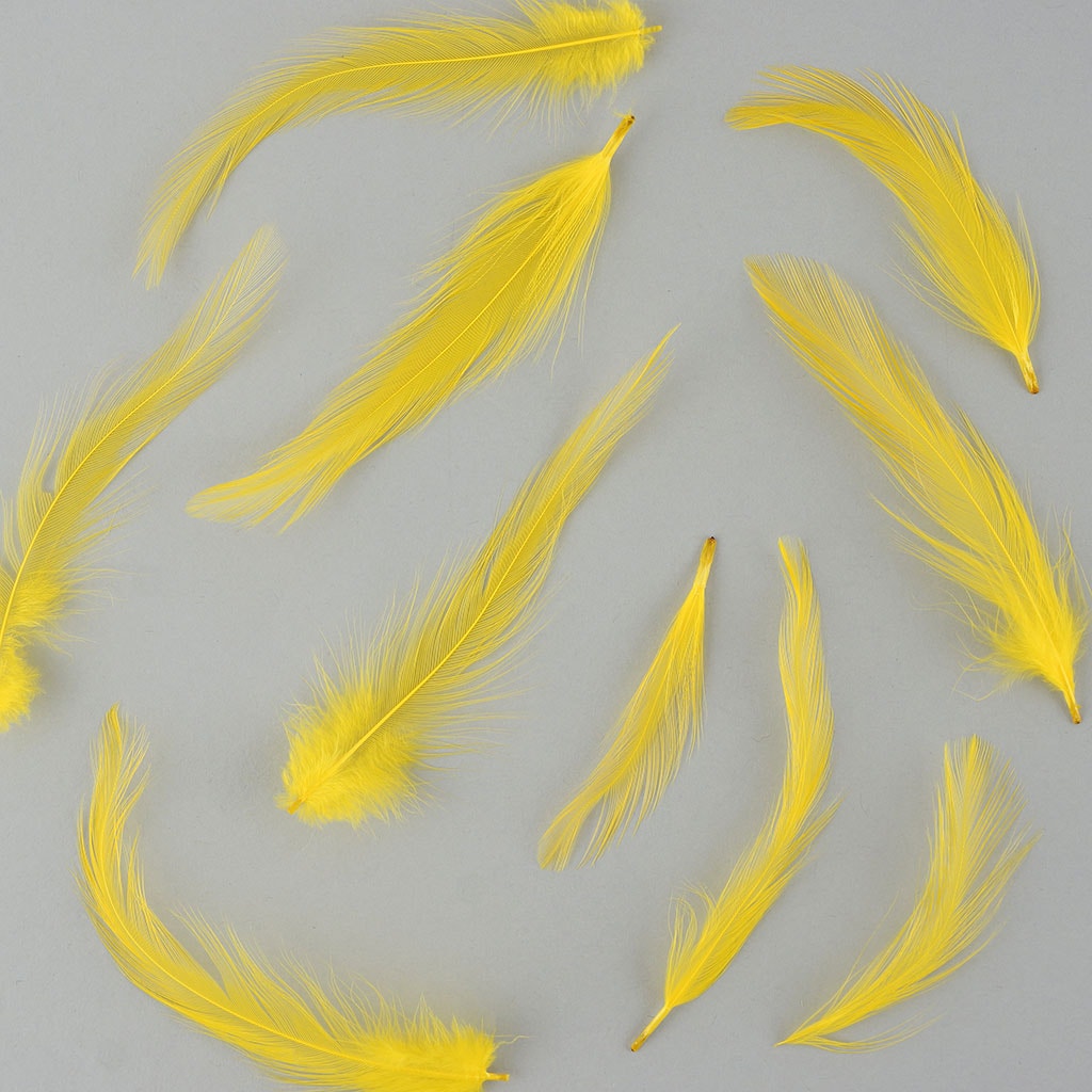 Rooster Hackle-Dyed - Yellow - Feathers