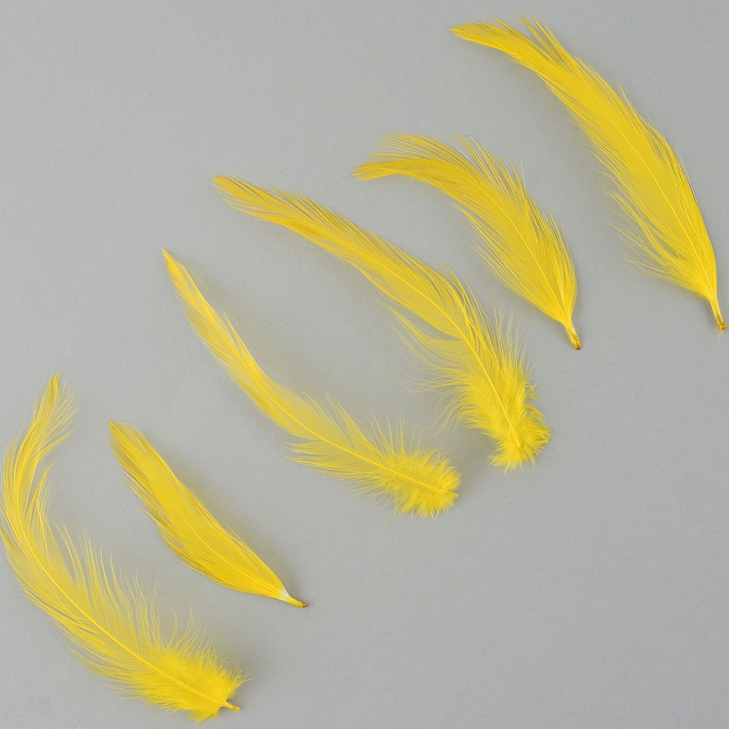 Rooster Hackle-Dyed - Yellow - Feathers