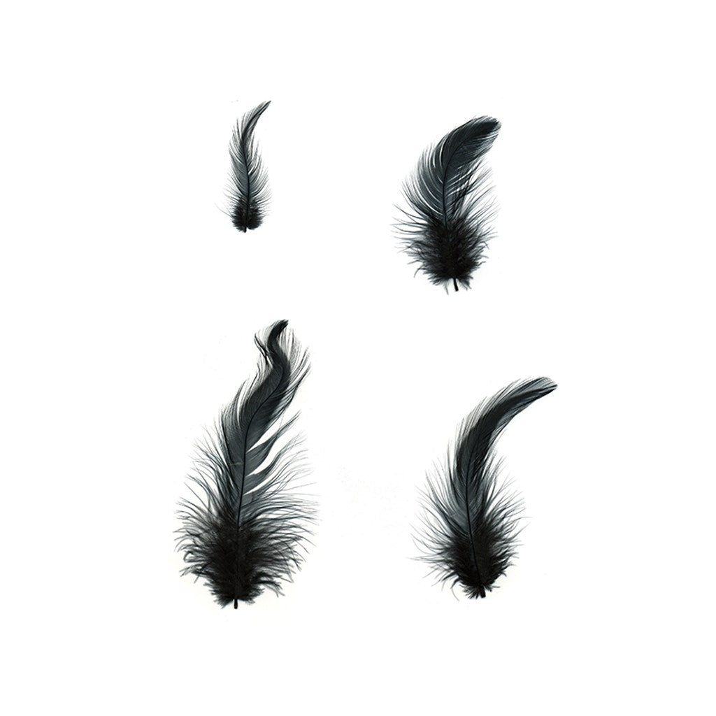 Rooster Hackle-White-Dyed - Black - Feathers