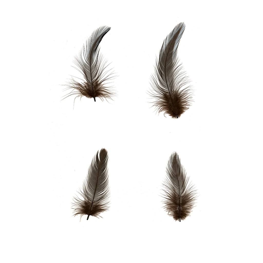 Rooster Hackle-White-Dyed - Brown - Feathers