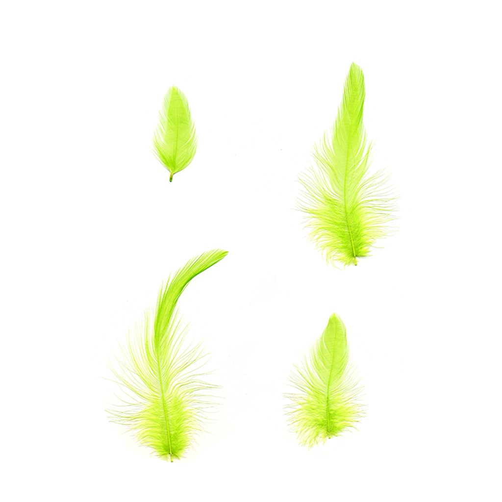 Rooster Hackle-White-Dyed - Lime - Feathers