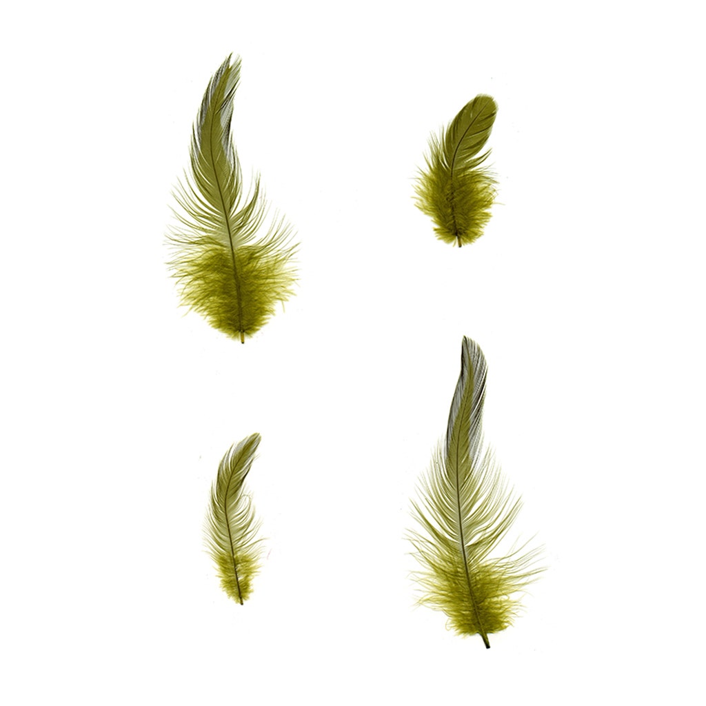 Rooster Hackle-White-Dyed - Olive - Feathers