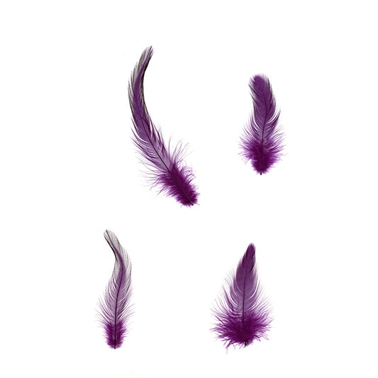 Rooster Hackle-White-Dyed - Purple - Feathers