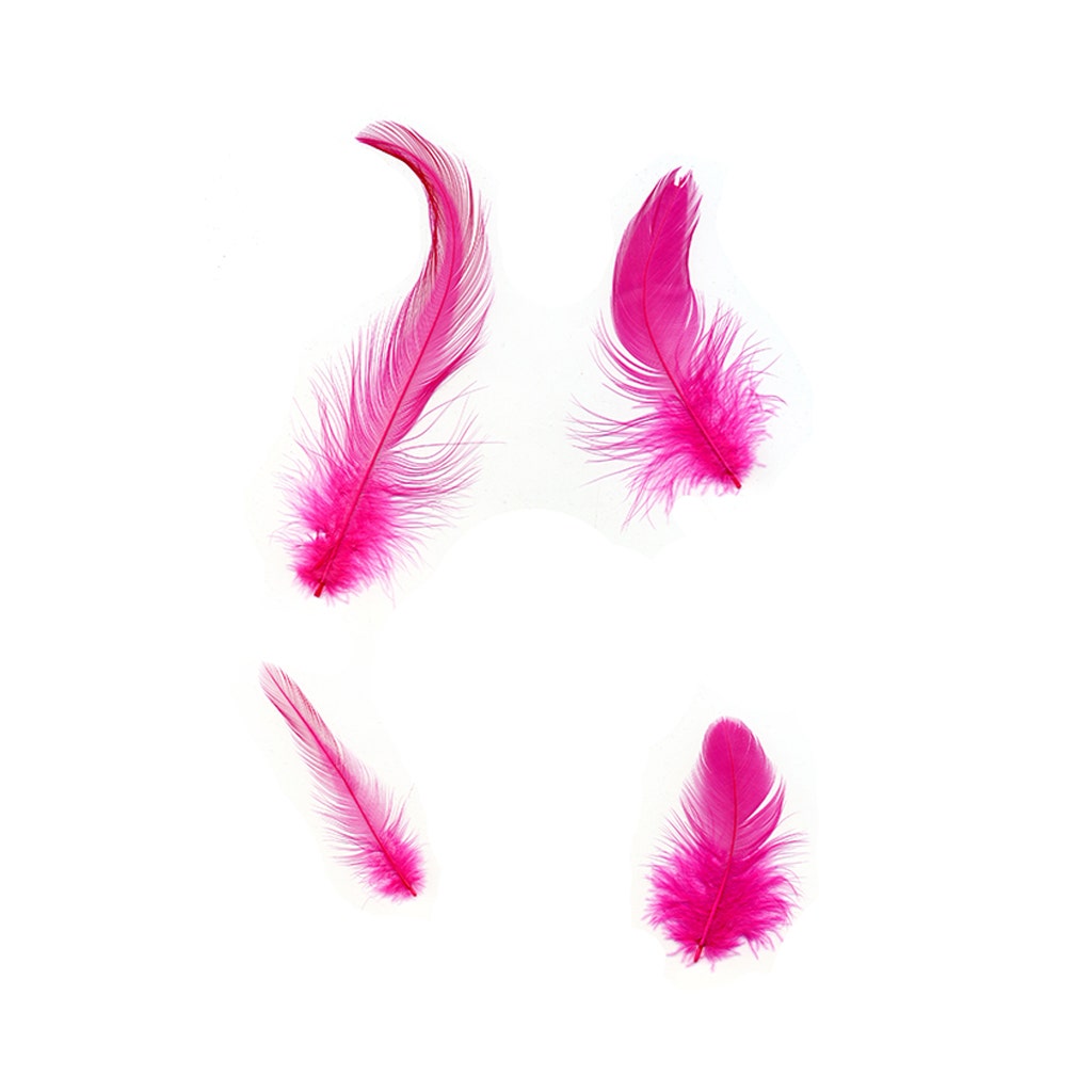 Rooster Hackle-White-Dyed - Shocking Pink - Feathers