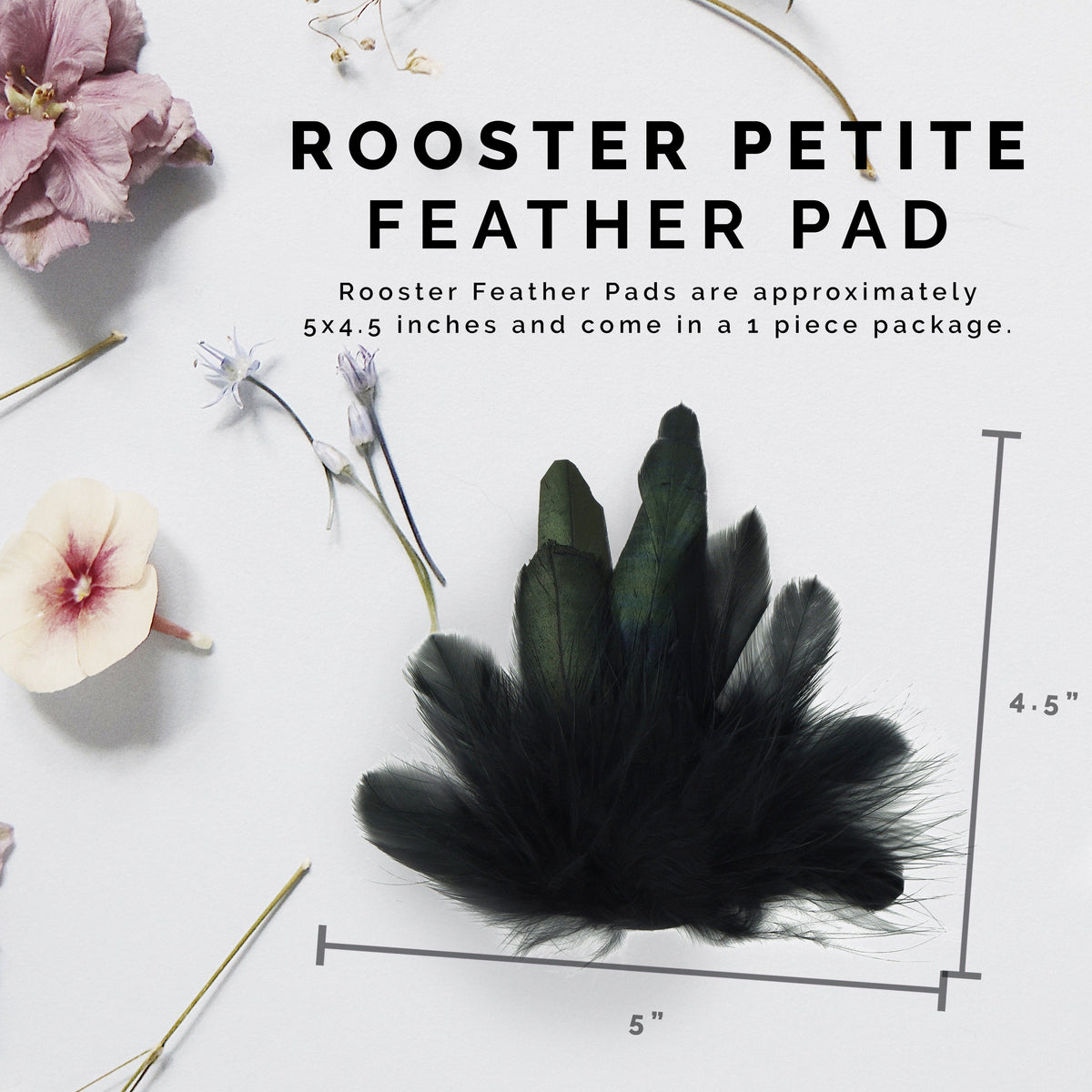 Feather Padding Rooster Petite Feather Pad - Natural – Zucker Feather Products, Inc.