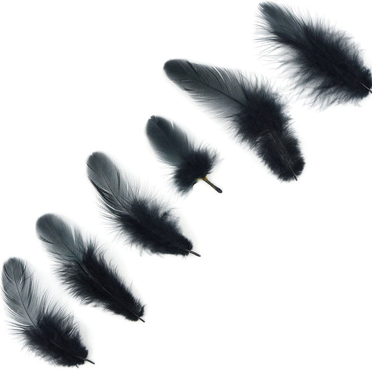 Rooster Plumage-White-Dyed - Black - Feathers