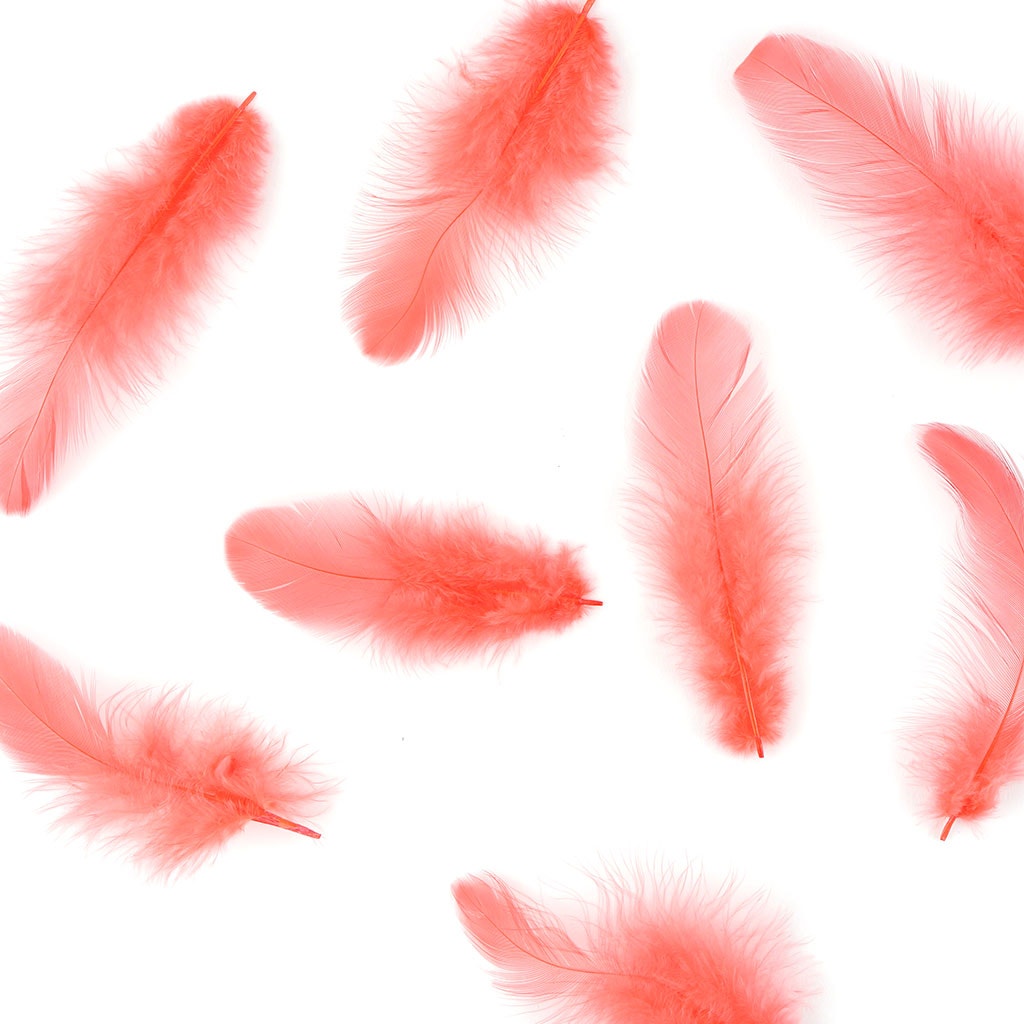 Rooster Plumage-White-Dyed - Hot Orange - Feathers