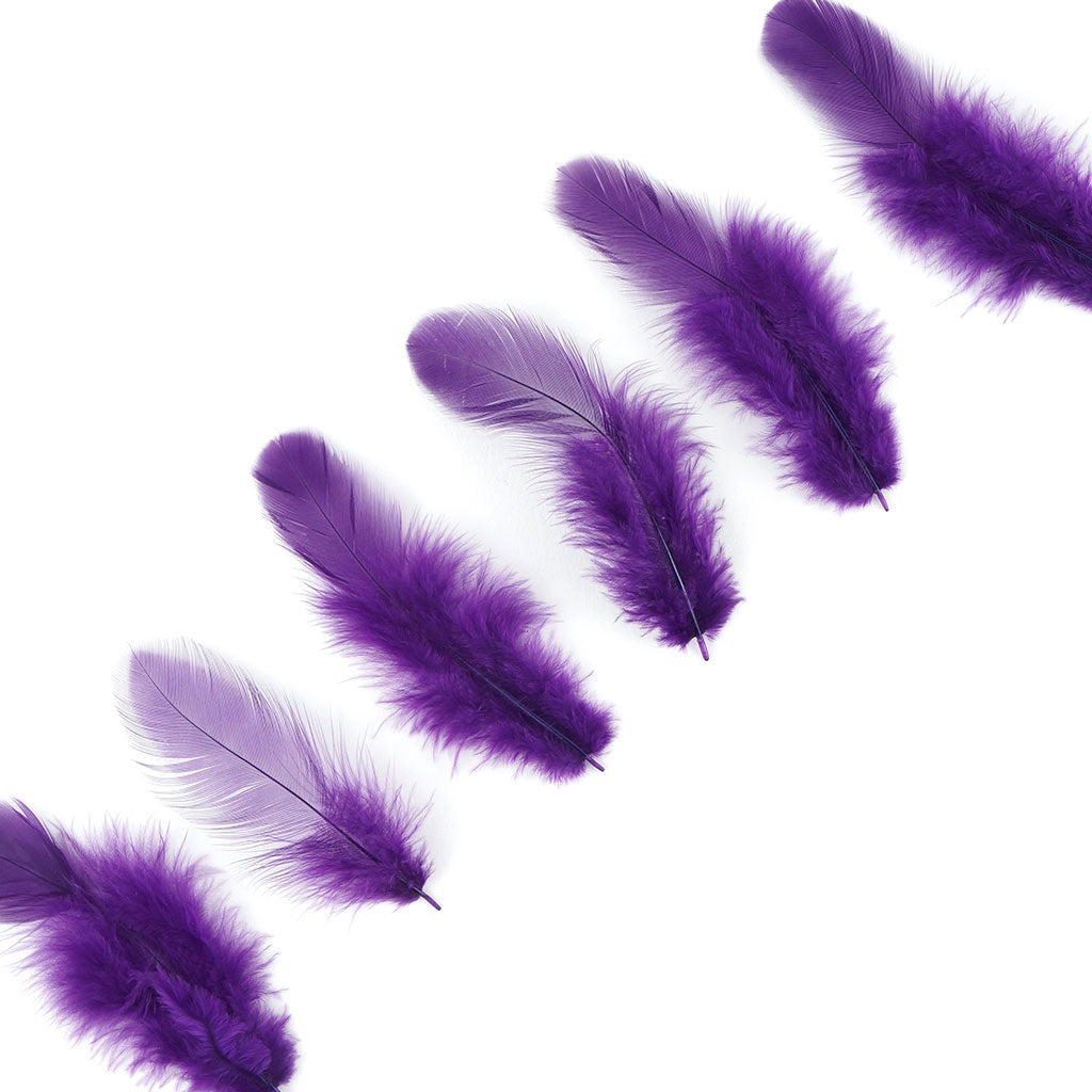 Rooster Plumage-White-Dyed - Purple - Feathers