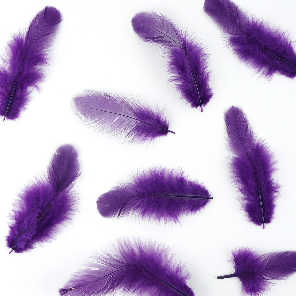 Rooster Plumage-White-Dyed - Purple - Feathers