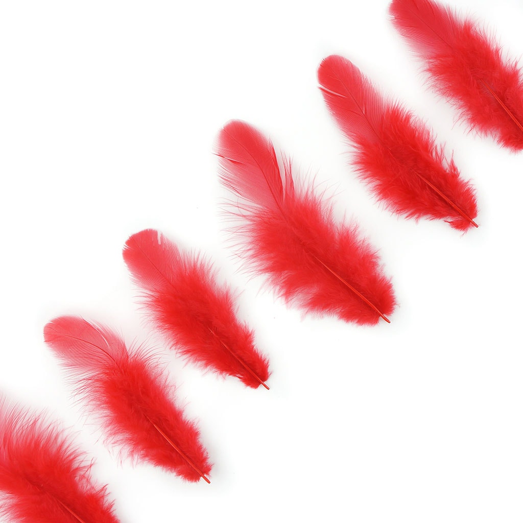 Rooster Plumage-White-Dyed - Red - Feathers