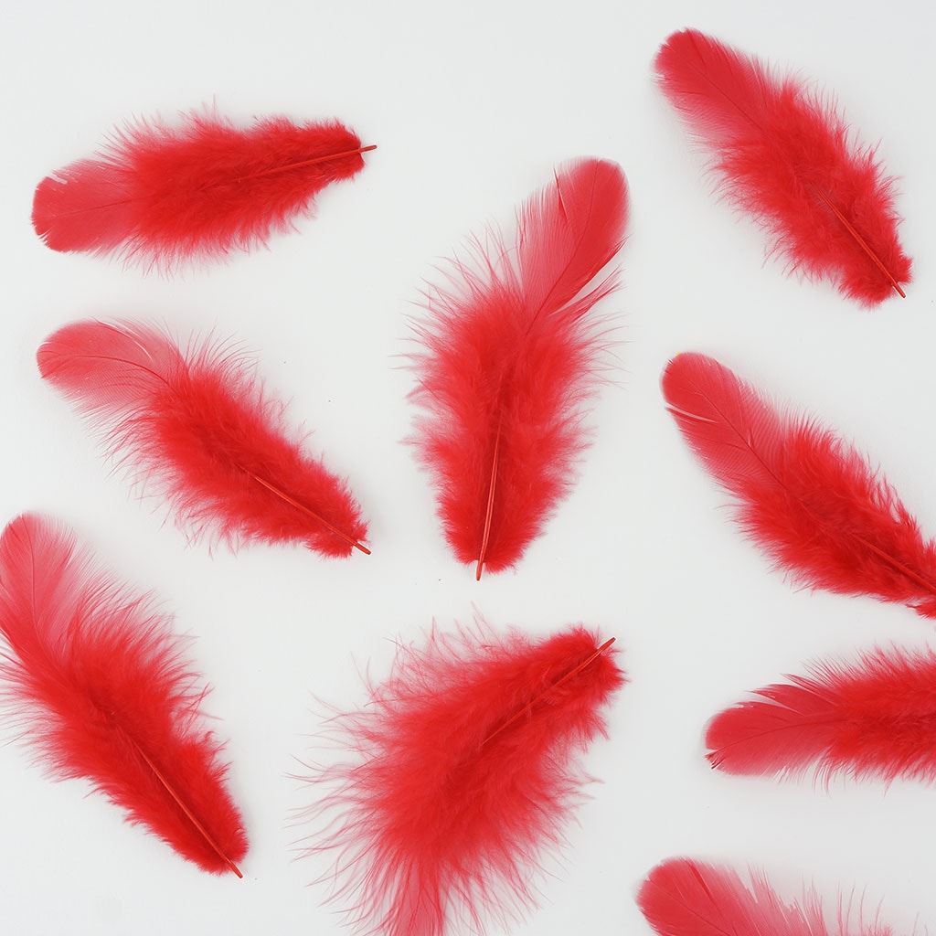 Rooster Plumage-White-Dyed - Red - Feathers