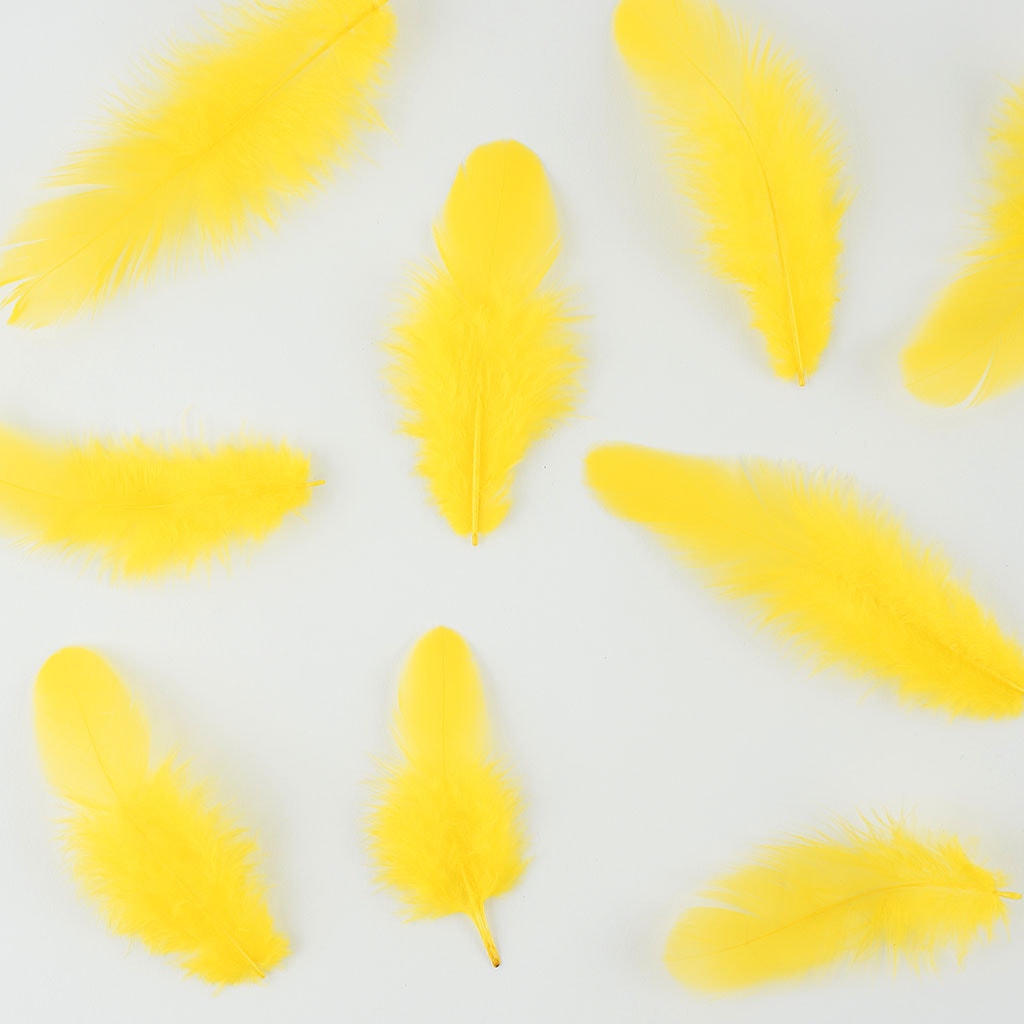 Rooster Plumage-White-Dyed - Yellow - Feathers