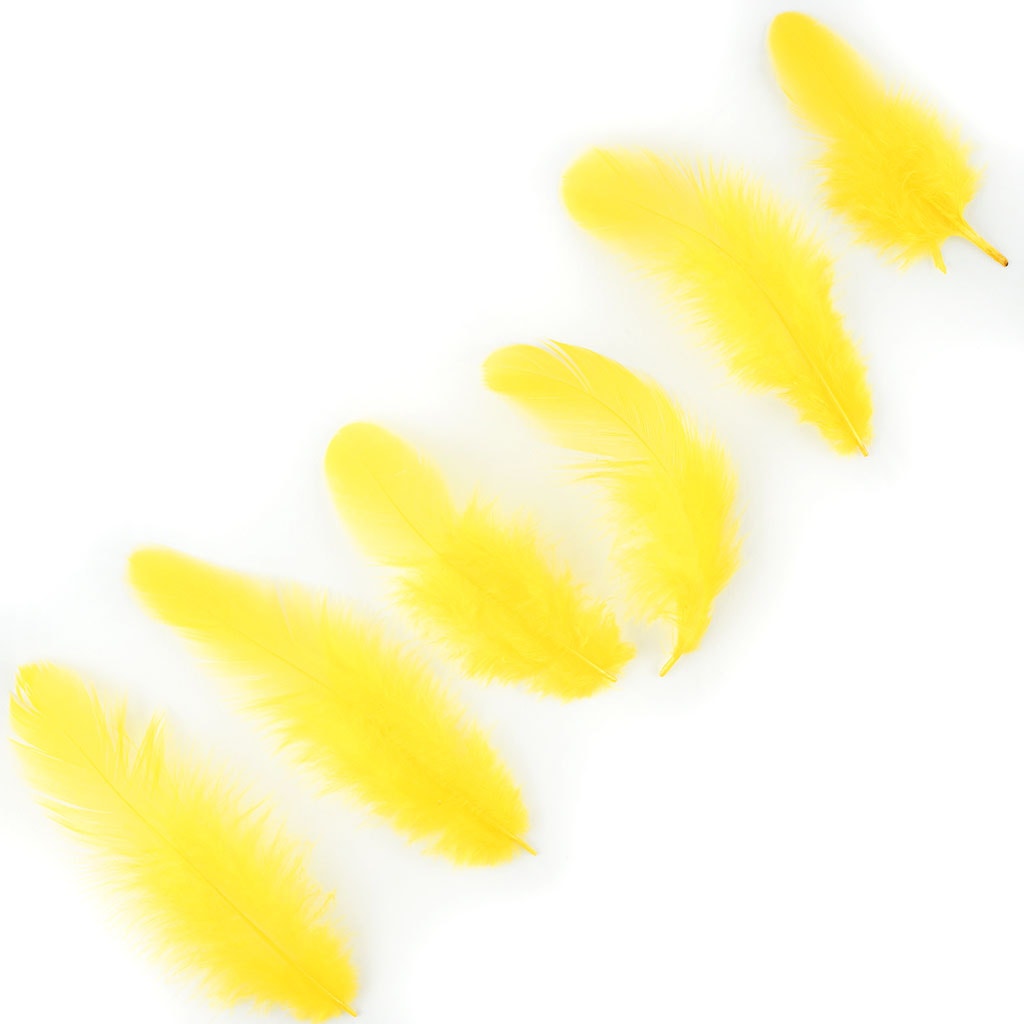 Rooster Plumage-White-Dyed - Yellow - Feathers