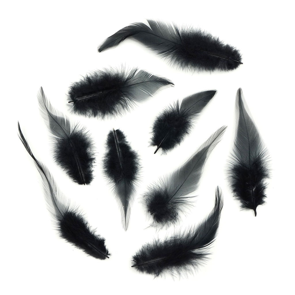 Rooster Saddles-White-Dyed - Black - Feathers