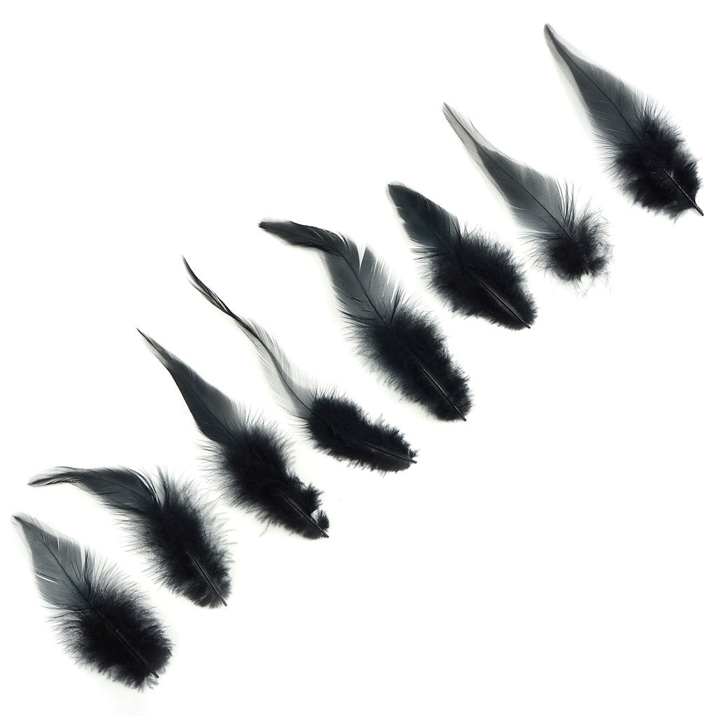 Rooster Saddles-White-Dyed - Black - Feathers