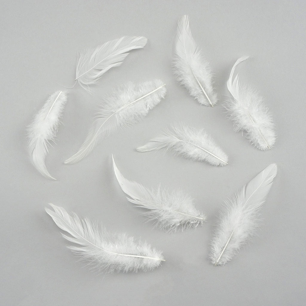 Rooster Saddles-White-Dyed - White - Feathers