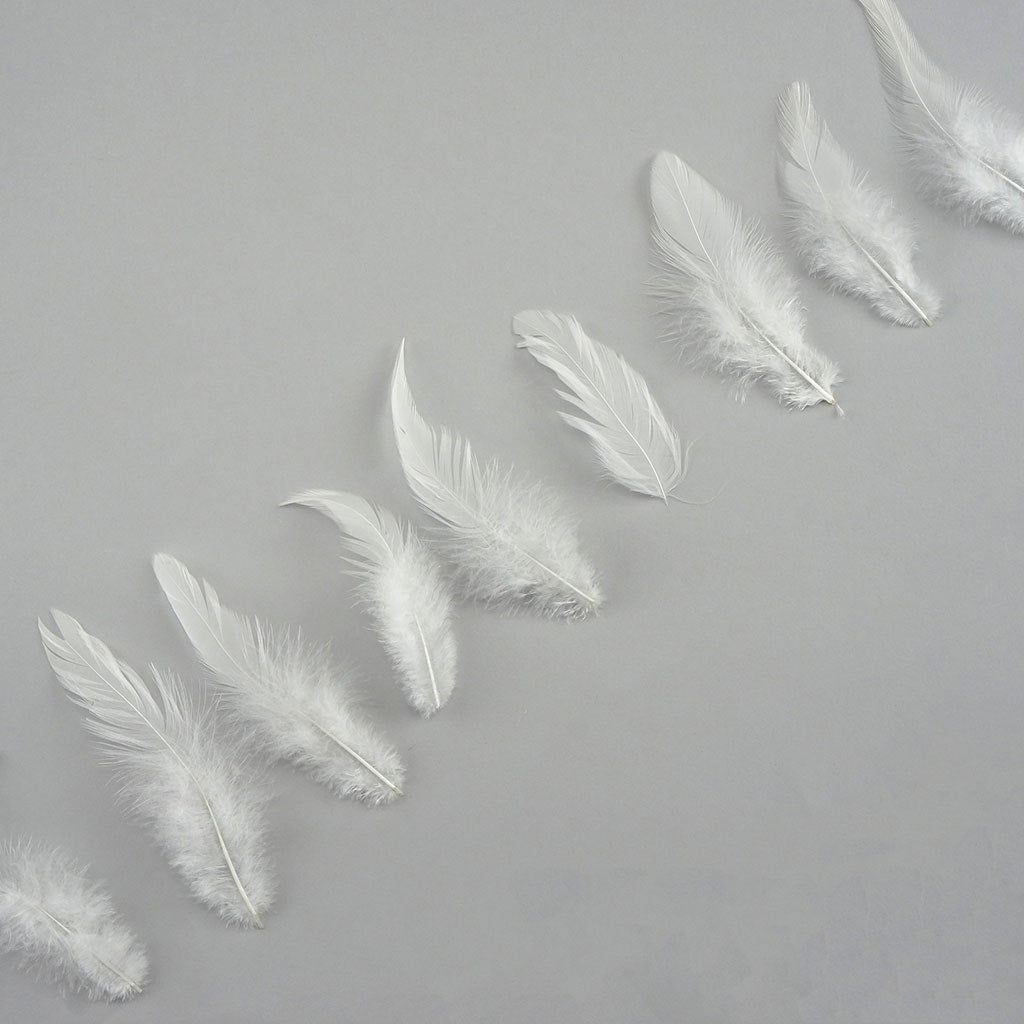 Rooster Saddles-White-Dyed - White - Feathers