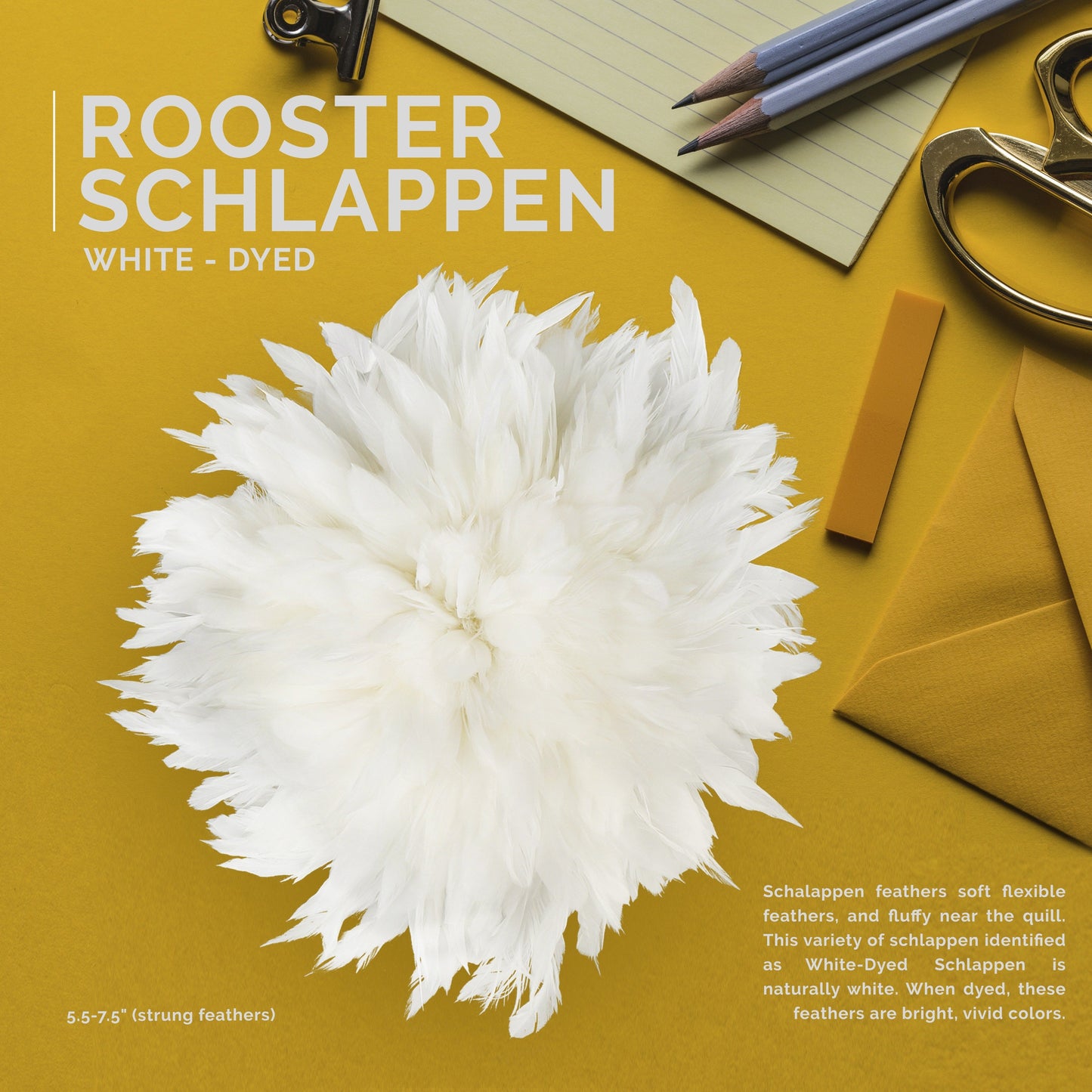 Rooster Schlappen-White-Dyed - White - Feathers