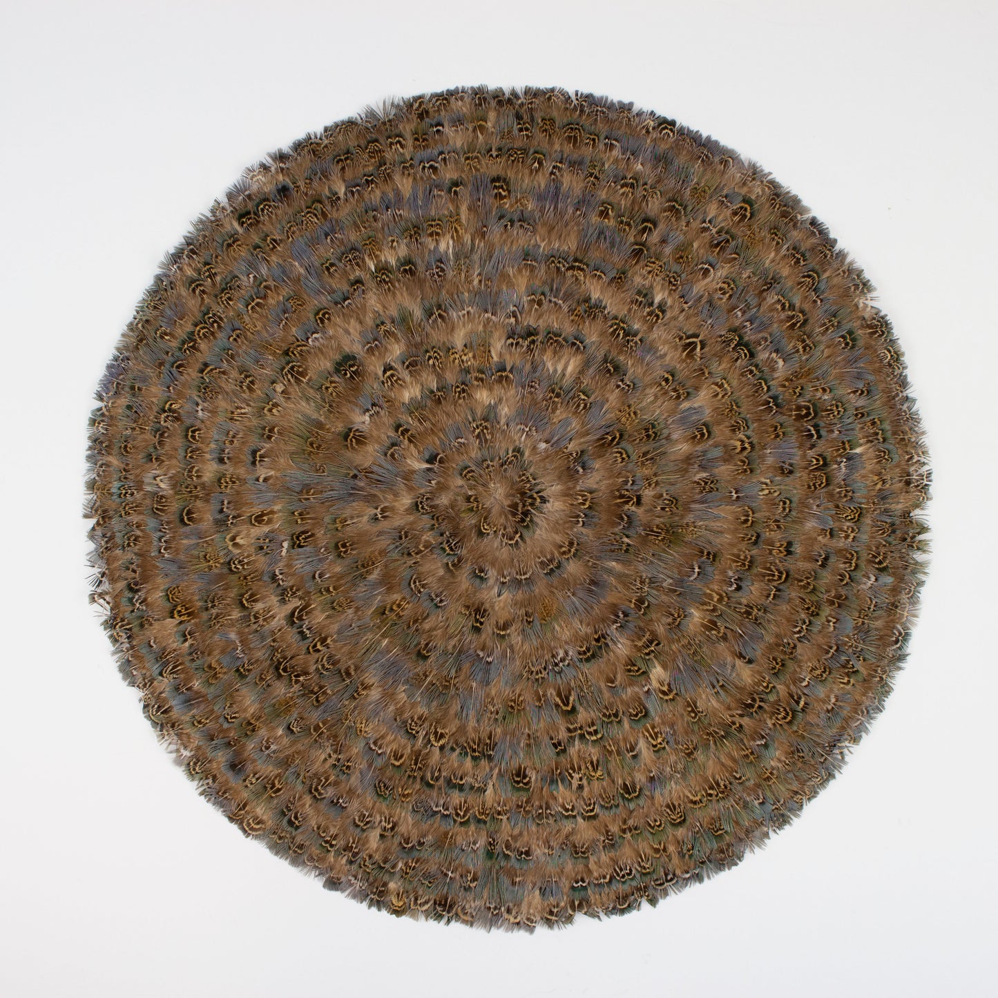 Blue Almond Pheasant Feather Placemat