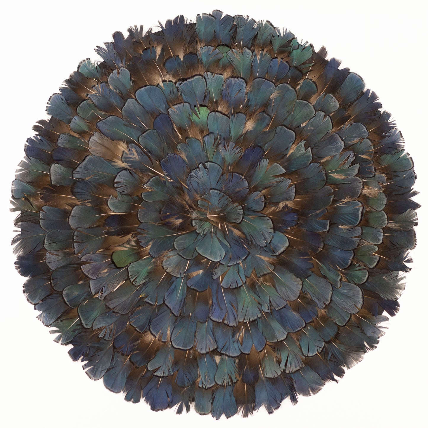 Lady Amherst Bronze Iridescent Feather Placemat