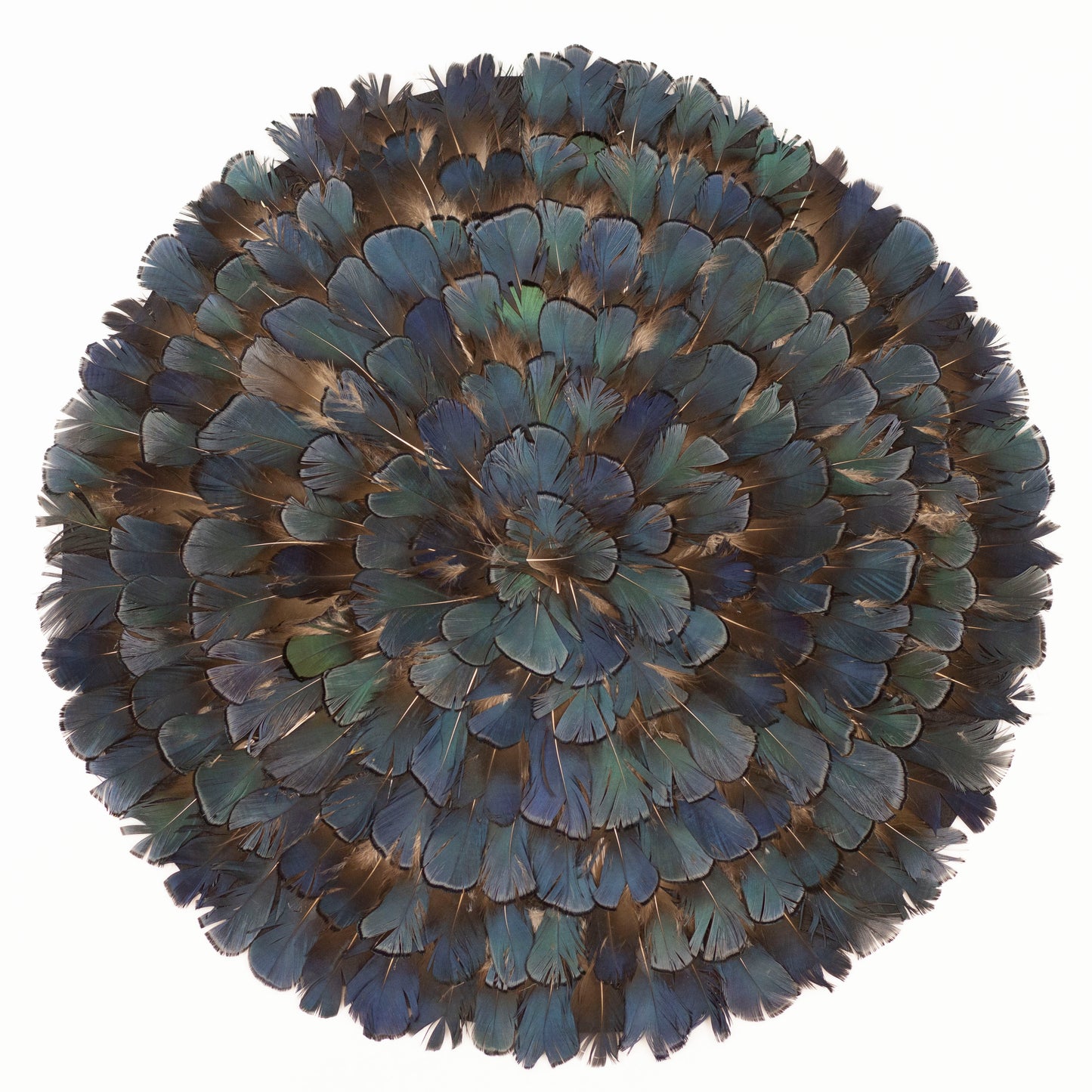 Lady Amherst Bronze Iridescent Feather Placemat