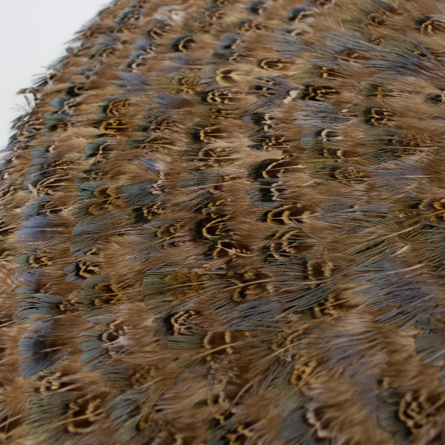 Blue Almond Pheasant Feather Placemat