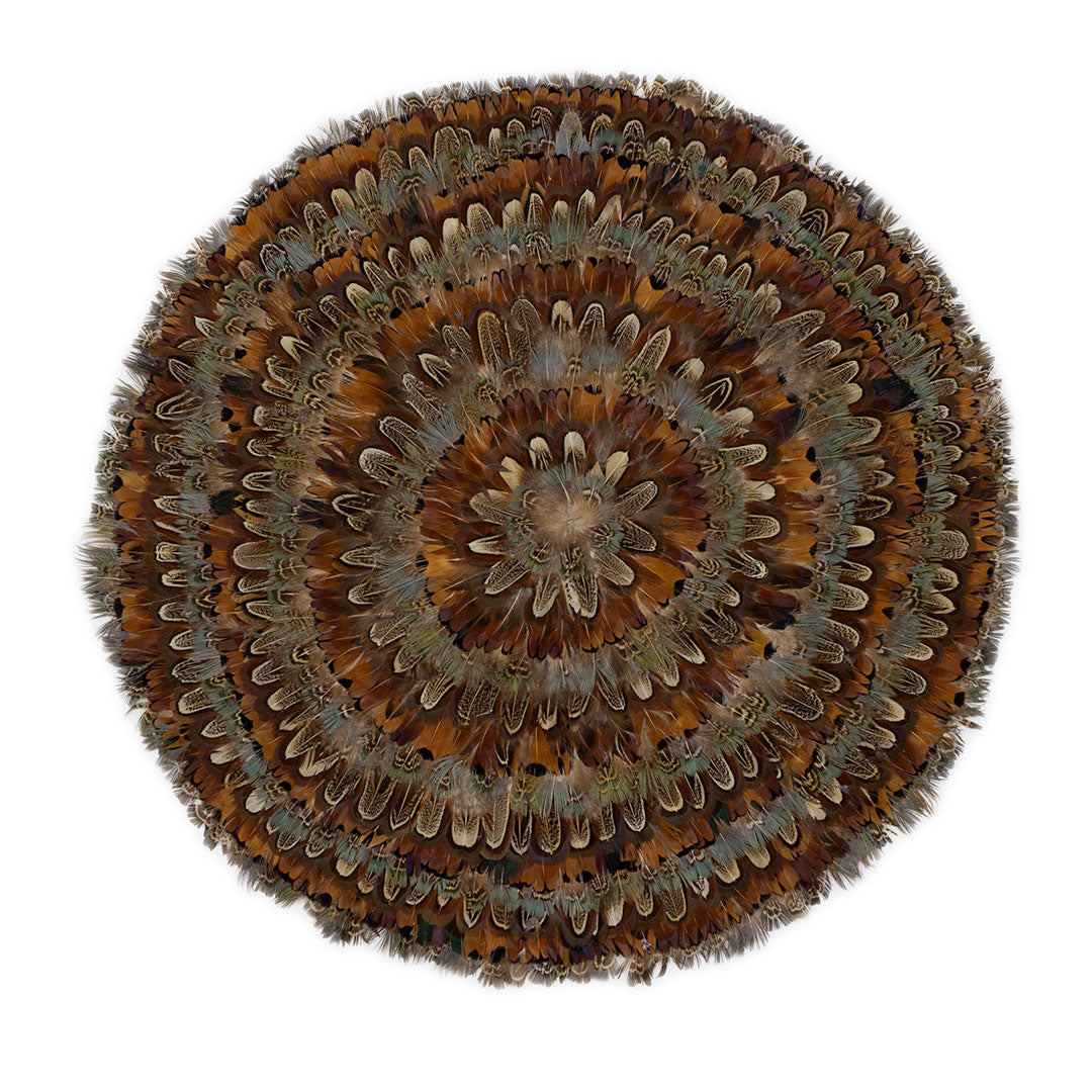 Dark Heart & Blue Almond Pheasant Feather Placemat